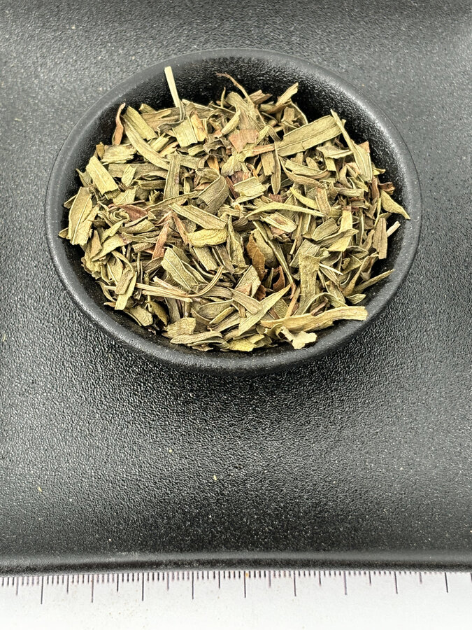 Dragon gesnipperd BIO 2