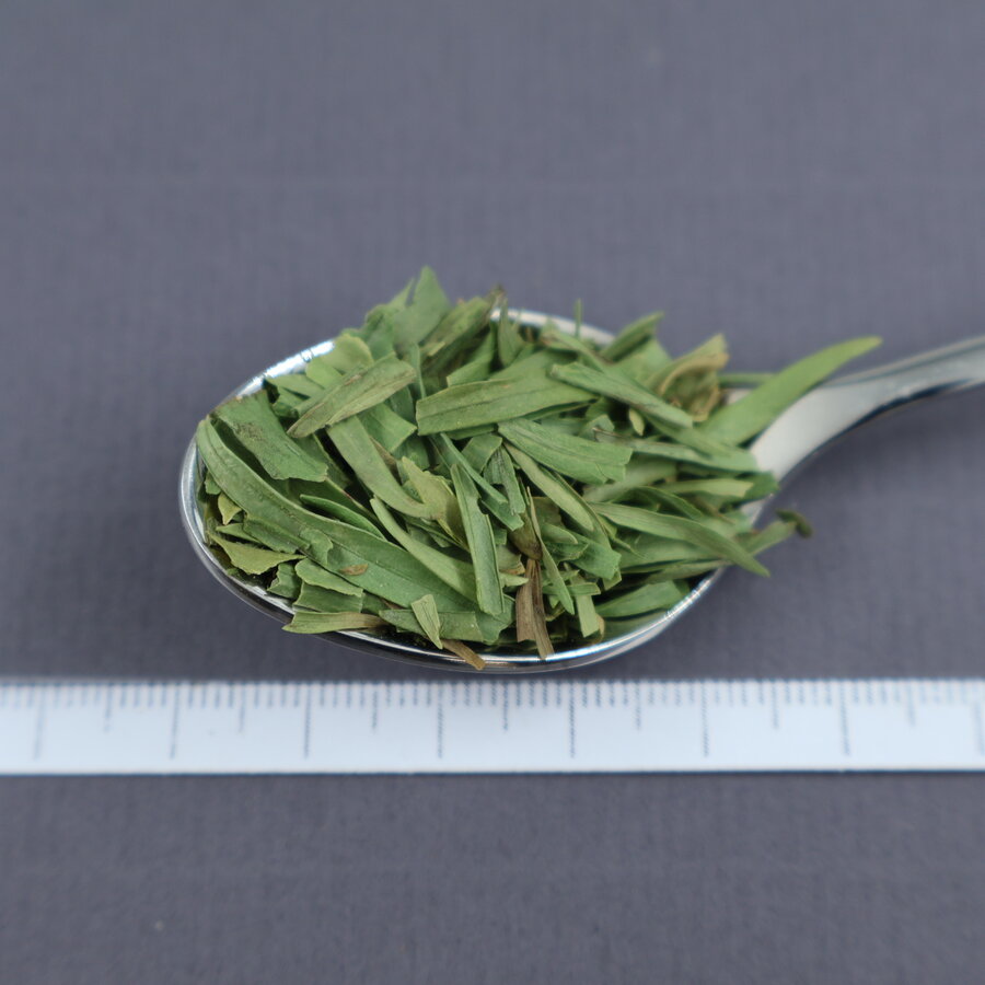 Dragon blad gesnipperd BIO 