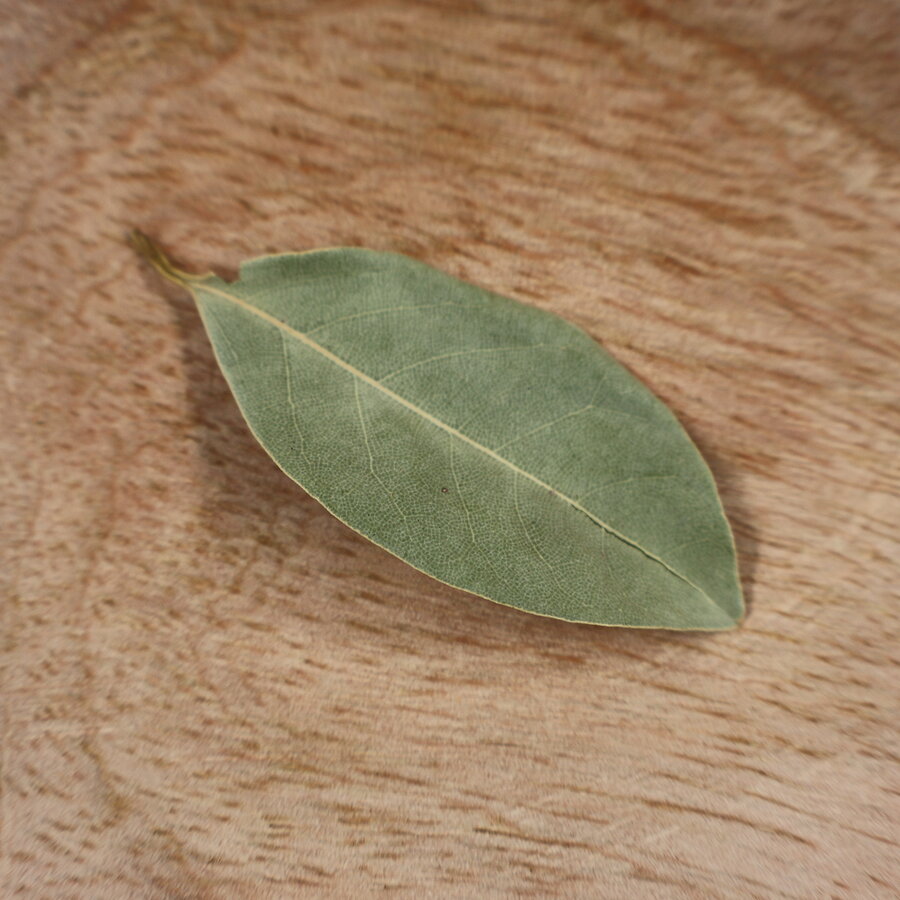 Laurierblad Alavi