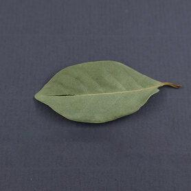 Laurier blad BIO